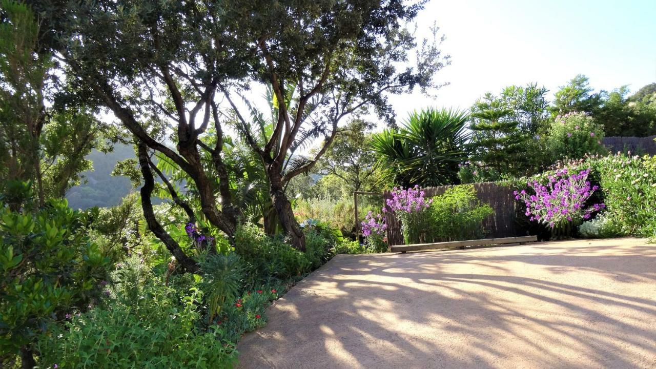 Villa A Altezza Palombaggia Porto Vecchio Exterior foto