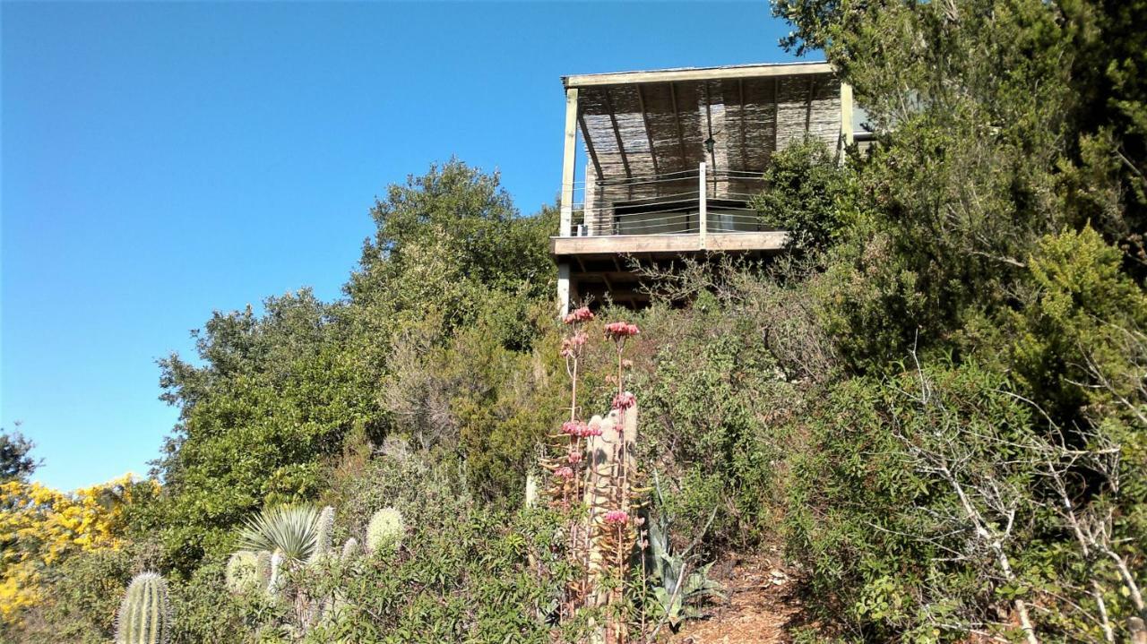 Villa A Altezza Palombaggia Porto Vecchio Exterior foto